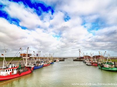 Hafen_Website