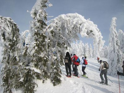 Schneeschuhwanderung