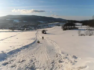 Wellness-Ferienwohnungen Zellertalblick