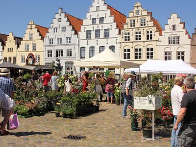 Treppengiebel in Friedrichstadt