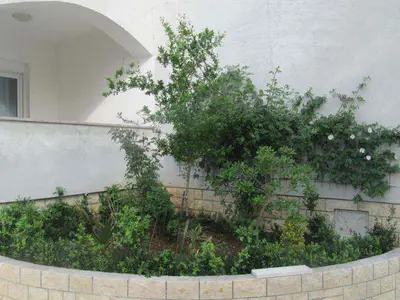 Ferienwohnung für 4 Personen (50 m²) in Dramalj 6/10