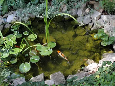 Bild 9