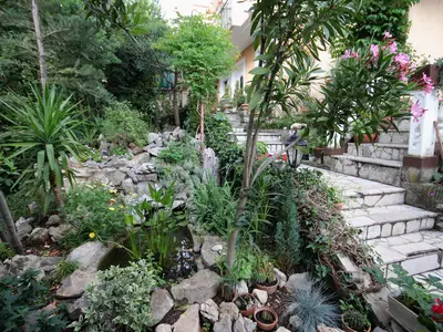 Bild 10