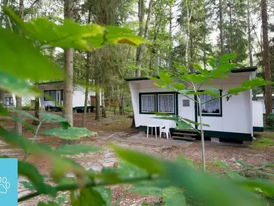 Ferienwohnung für 4 Personen (27 m²) in Dranske 10/10