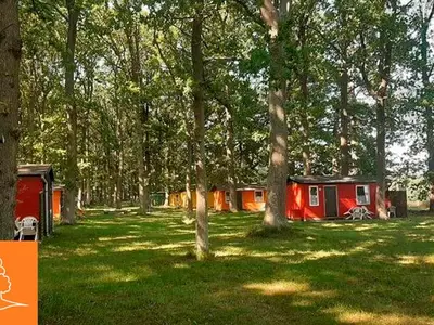 Ferienwohnung für 4 Personen (24 m²) in Dranske 7/10