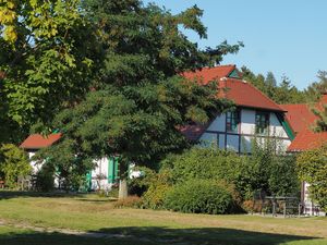 Ferienwohnung für 2 Personen (40 m&sup2;) in Dranske