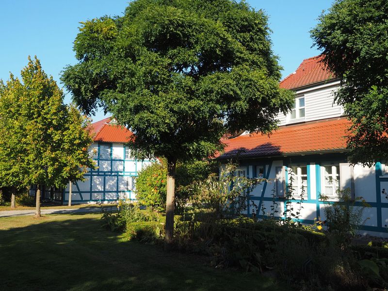 23590491-Ferienwohnung-2-Dranske-800x600-1