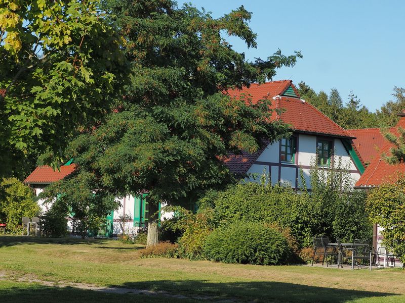 23590490-Ferienwohnung-3-Dranske-800x600-0