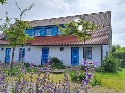 Ferienwohnung für 5 Personen (54 m²) in Dranske 1/10