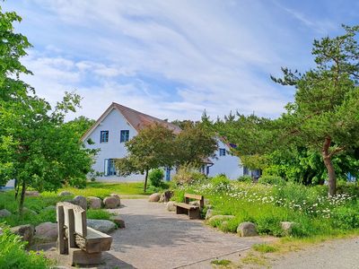 Ferienwohnung für 5 Personen (54 m²) in Dranske 2/10