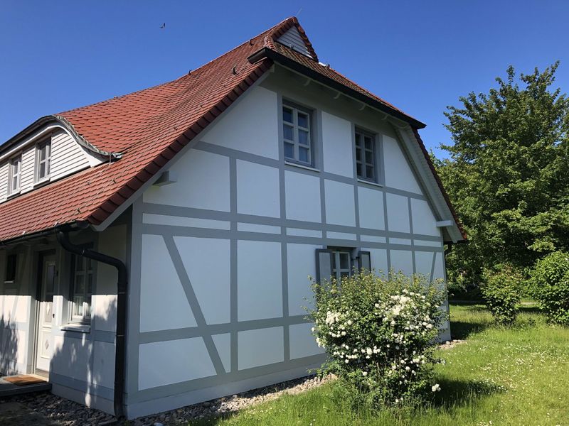 23957338-Ferienwohnung-3-Dranske-800x600-0