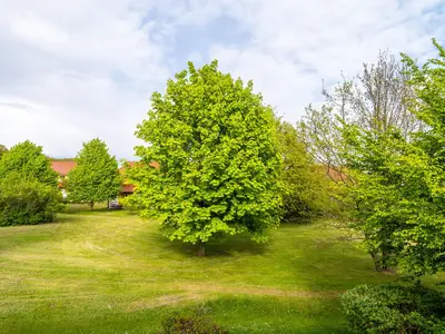 Gartenblick