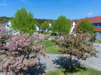 Gartenblick