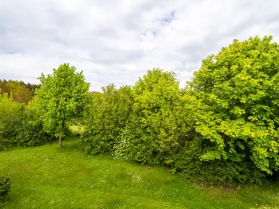 Gartenblick