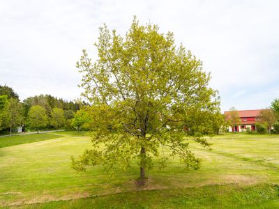 Gartenblick