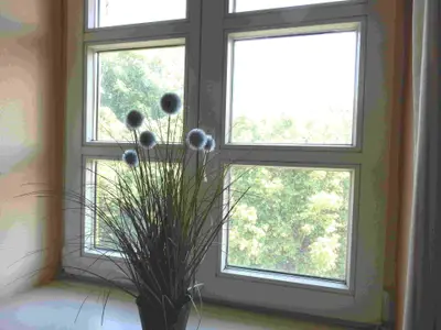 Ferienwohnung für 4 Personen (40 m²) in Dranske 5/10