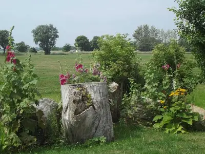 Ferienwohnung für 7 Personen (83 m²) in Starrvitz 10/10