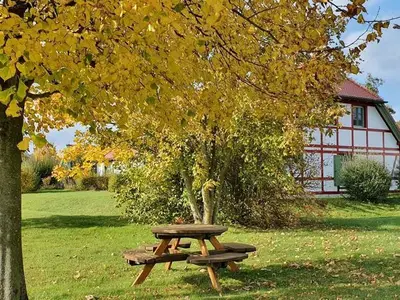 Ferienwohnung für 5 Personen (54 m²) in Dranske 10/10