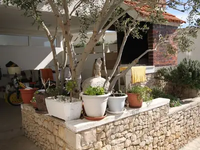 Ferienwohnung für 3 Personen in Drašnice 7/10