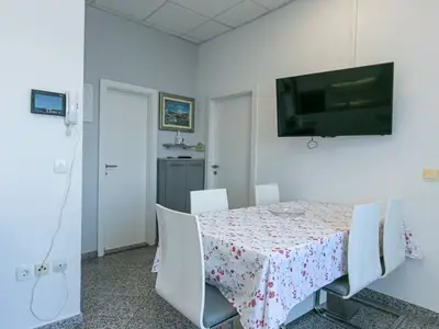 Ferienwohnung für 6 Personen in Drašnice 9/10