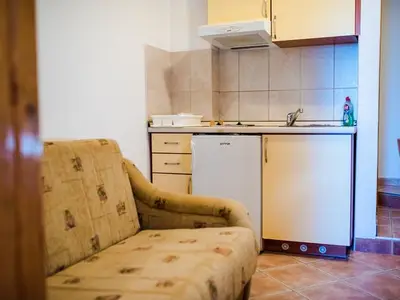 Ferienwohnung für 4 Personen in Drašnice 7/10