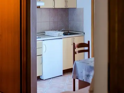 Ferienwohnung für 3 Personen in Drašnice 7/10
