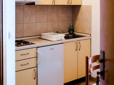 Ferienwohnung für 3 Personen in Drašnice 9/10