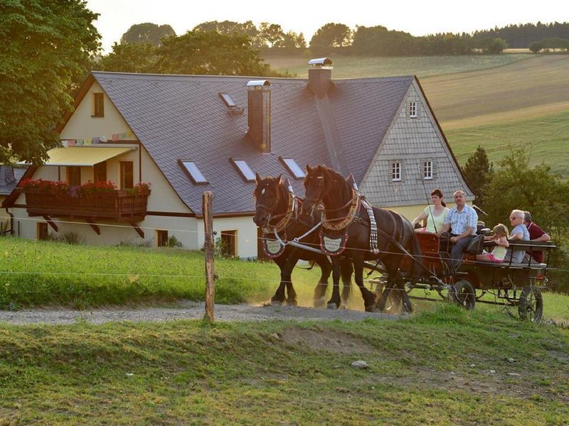 23442096-Ferienwohnung-6-Drebach-800x600-0