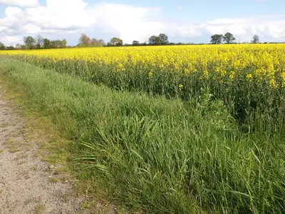 Ferienwohnung für 4 Personen (70 m²) in Dreiheide 4/10