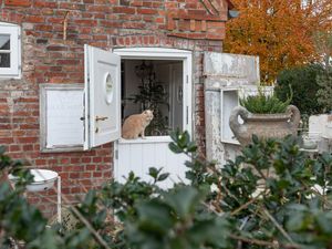 Ferienwohnung für 5 Personen (65 m&sup2;) in Drelsdorf