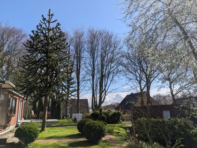 Ferienwohnung für 4 Personen (140 m²) in Drelsdorf 5/10