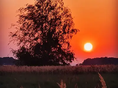 Ferienwohnung für 6 Personen (115 m²) in Dreschvitz 2/10