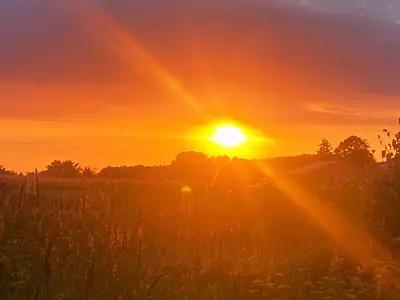 Ferienwohnung für 6 Personen (115 m²) in Dreschvitz 4/10