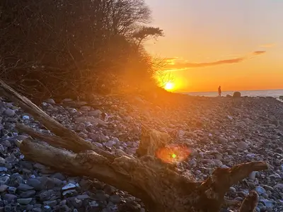 Ferienwohnung für 6 Personen (115 m²) in Dreschvitz 6/10