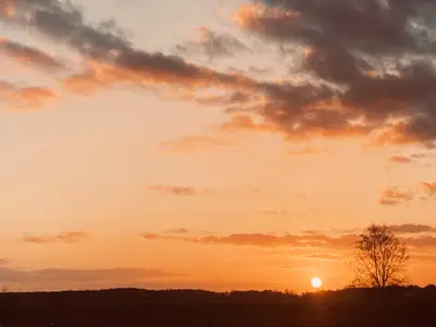 Ferienwohnung für 6 Personen (115 m²) in Dreschvitz 8/10