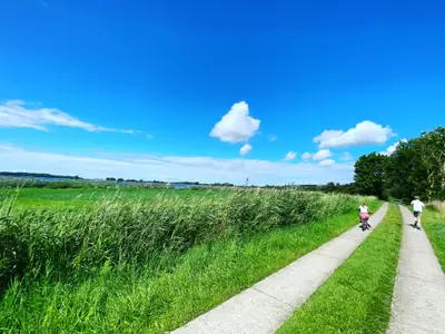 Ferienwohnung für 6 Personen (115 m²) in Dreschvitz 9/10