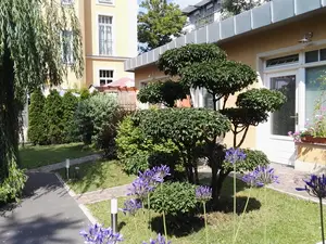 Ferienwohnung für 6 Personen (48 m²) in Dresden