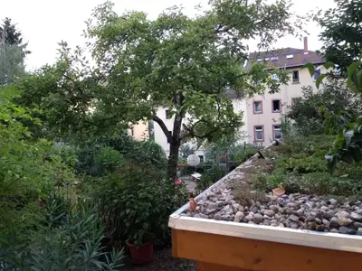 Ferienwohnung für 2 Personen (30 m²) in Dresden 8/9