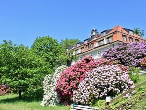 Ferienwohnung für 5 Personen (128 m&sup2;) in Dresden