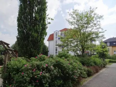 Ferienwohnung für 4 Personen (41 m²) in Dresden 2/10