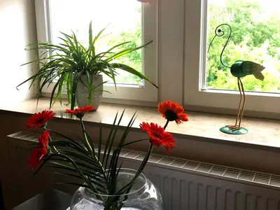 Ferienwohnung für 3 Personen (52 m²) in Dresden 5/10