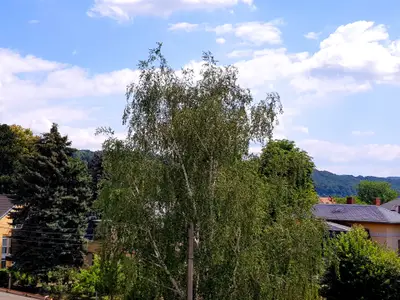 Ferienwohnung für 2 Personen (46 m²) in Dresden 9/10