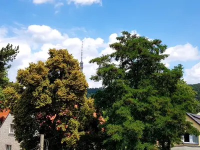 Ferienwohnung für 2 Personen (46 m²) in Dresden 10/10