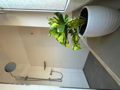Ferienwohnung für 2 Personen (40 m²) in Dresden 9/10