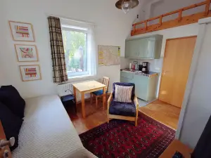 Ferienwohnung für 1 Person (17 m²) in Dresden