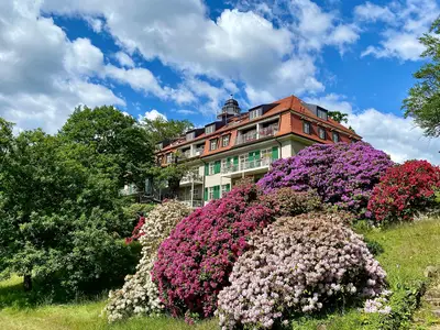 Haus König Albrecht mit Ihrer Ferienwohnung