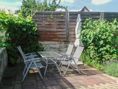 Ferienwohnung für 4 Personen (40 m²) in Dresden 10/10