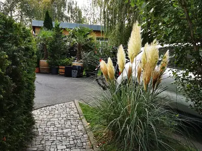 Ferienwohnung für 6 Personen (75 m²) in Dresden 5/10