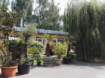 Ferienwohnung für 5 Personen (48 m²) in Dresden 7/10