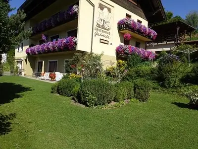 Garten im Sommer
